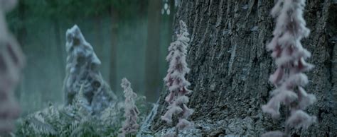 Afbeeldingsresultaten voor Movie Box Pro Invitation Code