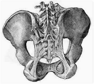 Iliac Crest Pain: Causes and Home Remedies | IYTmed.com