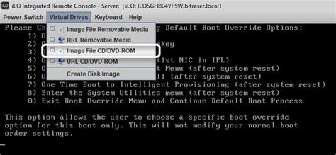 Image result for ILO Virtualization Options メニュー