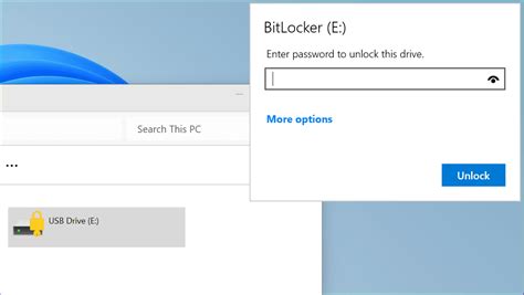 Image result for BitLocker USB