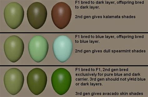 Image result for Mottled Java Egg Color