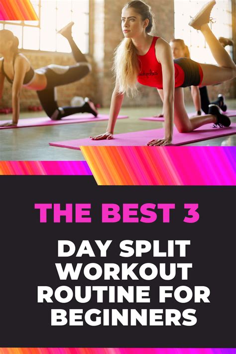Image result for Beginner Split Routine