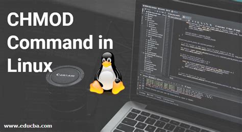 Image result for Linux Chmod Used