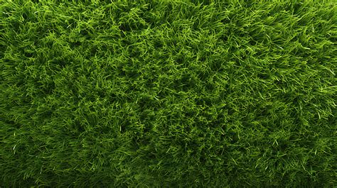 Toradh íomhá ar Textured Color Pattern Green