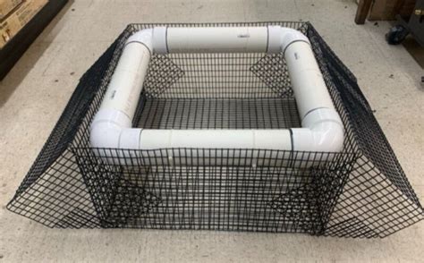 Image result for Turtle Trap