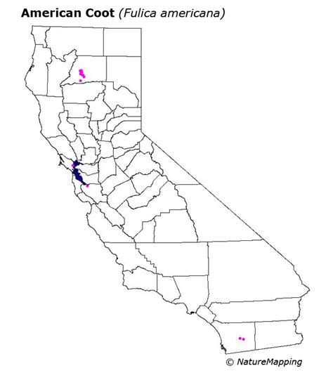 American Coot Range Map に対する画像結果
