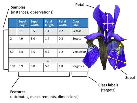 Image result for Machine Learning Python Tutorial