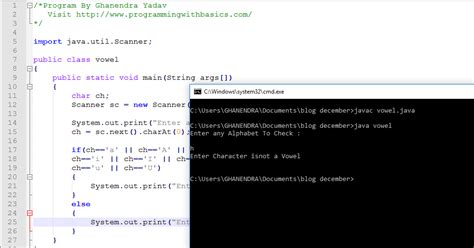 Toradh íomhá ar Finding a Character in Java