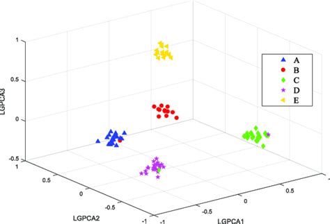 Classification Algorithm Visual Representation に対する画像結果