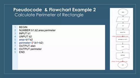 Image result for Basic Pseudo Code Examples