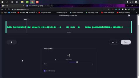 Image result for Pitch Recorder