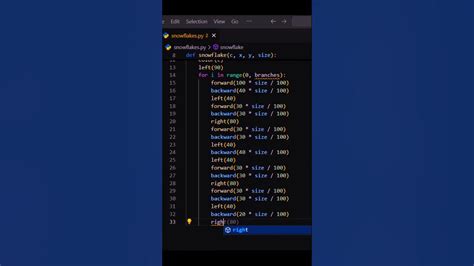 Python Turtle Drawing Snowflake 的图像结果