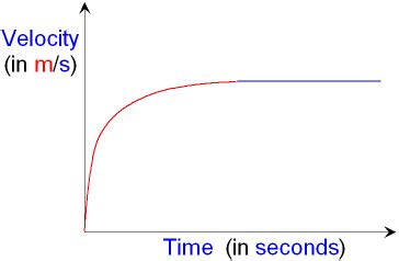 Terminal Velocity Displacement Time Graph に対する画像結果