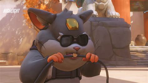 Overwatch Brain に対する画像結果