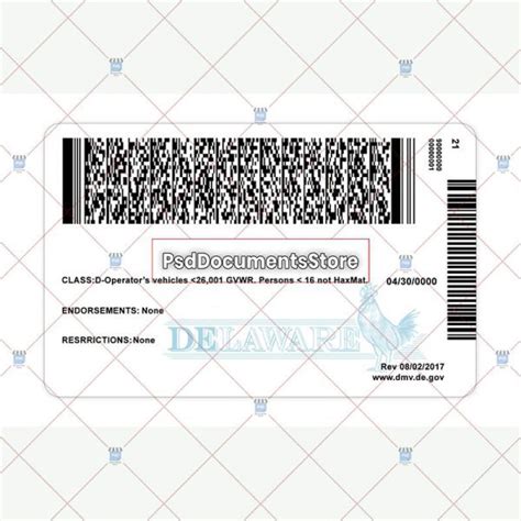 Delaware Driver License Sample に対する画像結果