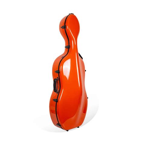 Image result for Cello Case