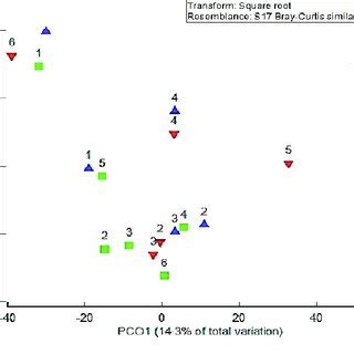 Image result for Triangular Pca Plot