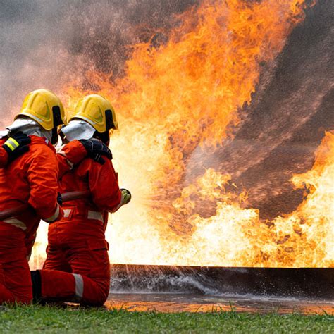 Image result for Perception Reality Logo