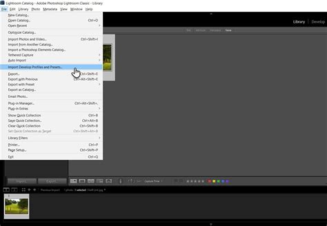 Toradh íomhá ar Install Lightroom Presets