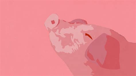 Image result for Pig Background On PC