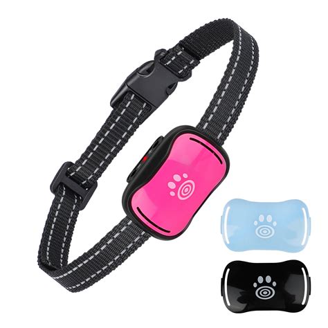 Image result for How to Use a Bark Collar for Dogs