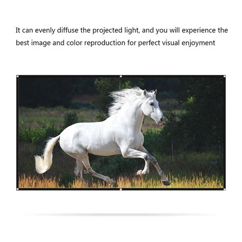 Image result for Widescreen Projector Screen