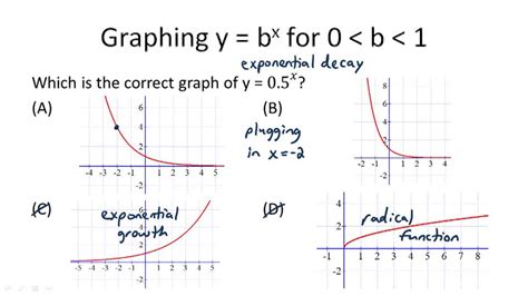 Example of Exponential Graphs Biology に対する画像結果