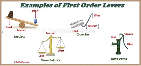 Image result for Class 1 Lever Examples