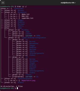 Image result for Linux Du Command Folder Tree with Sizes