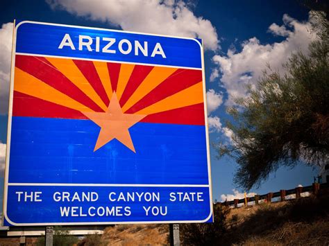 Image result for Arizona Desert Tarantula