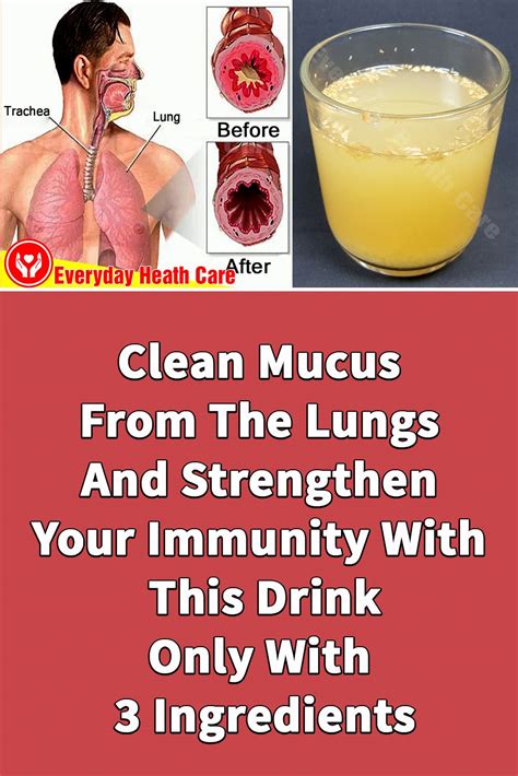 Toradh íomhá ar Mucus Body