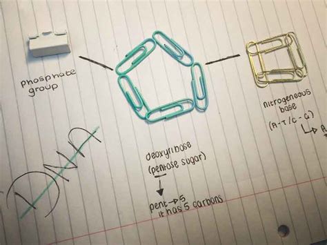 Image result for Making Molecular Models