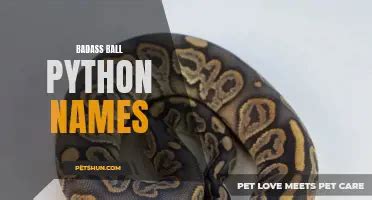 Afbeeldingsresultaten voor Angry Ball Python