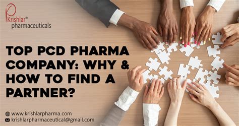 Toradh íomhá ar How to Find a Partner