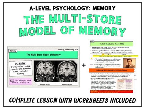 Image result for Multi-Store Model of Memory a Level Psychology