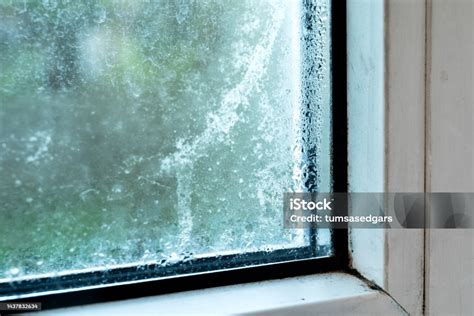 Image result for Damp Over Window