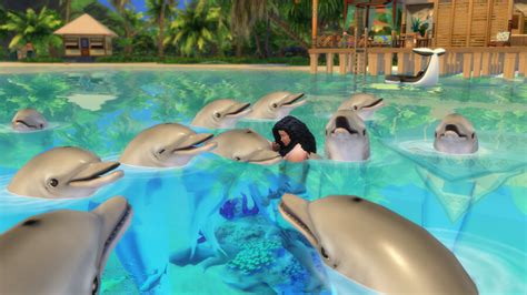 Image result for Island Living Sims 4 Code