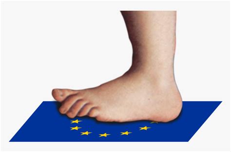 Image result for Monty Python Foot Vector Graphic High Resolution