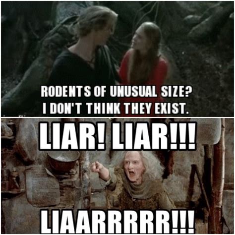 Toradh íomhá ar Princess Bride Wuv Meme