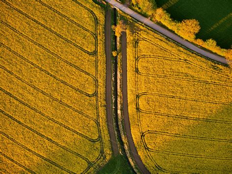 Image result for Field Photography