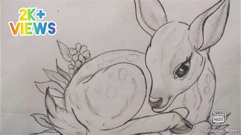 Image result for Baby Fawn Drawing