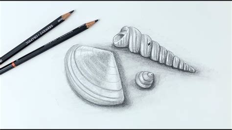 Shell Drawing Realistic に対する画像結果