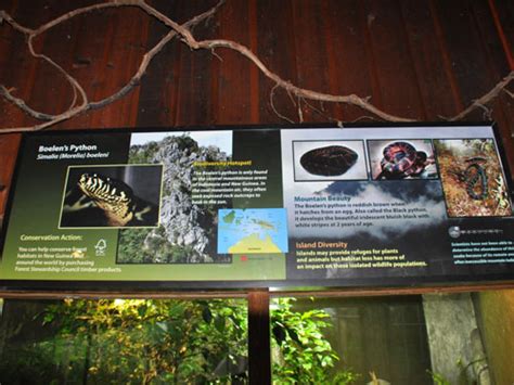 Image result for Jungle Python Zoo Signage