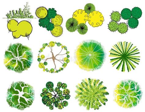 Image result for Tree Symbol Landscape Drawing