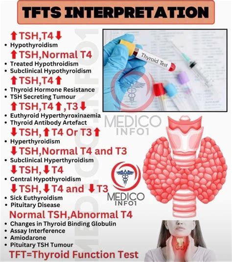 Thyroid Lab Test Form に対する画像結果