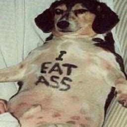 Afbeeldingsresultaten voor AMD Auto Driver Install