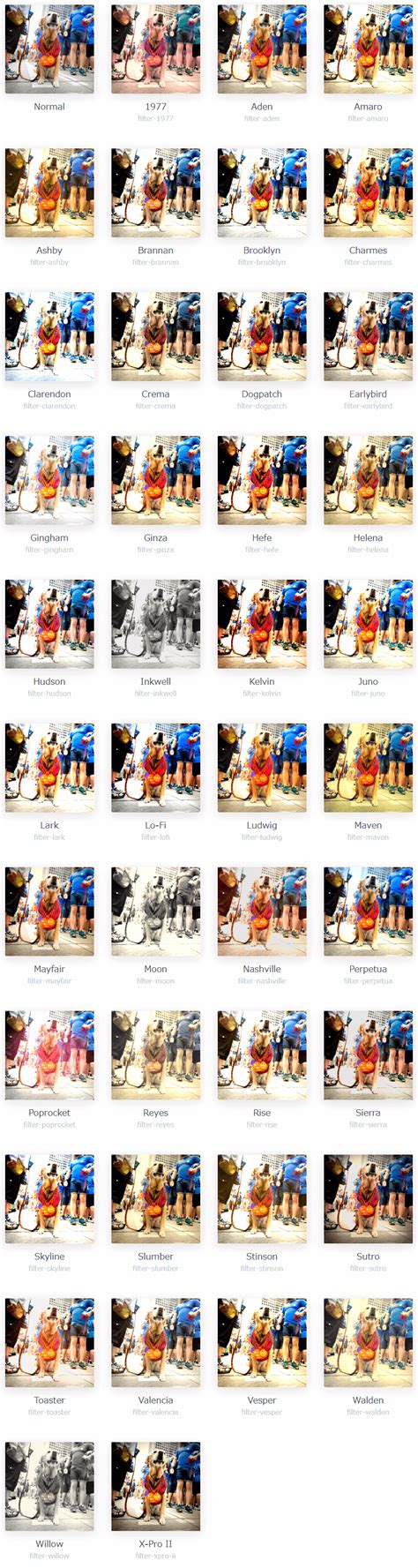 Image result for Instagram Style Gallery CSS/HTML