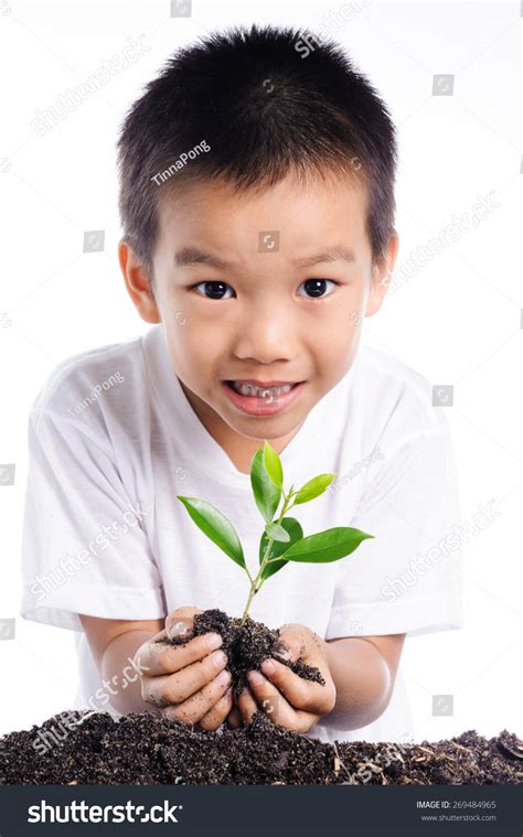 Image result for Plants Grab Boy's Arm