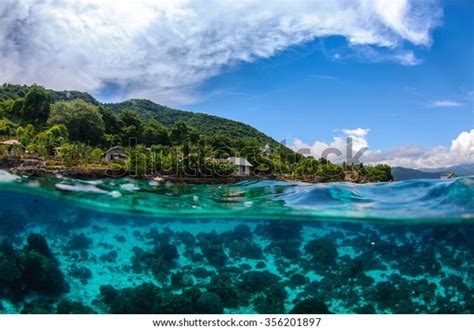 Afbeeldingsresultaten voor Faces to Sketch