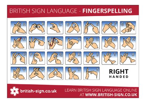 Image result for Sign Language Components